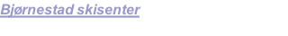 Bjørnestad skisenter